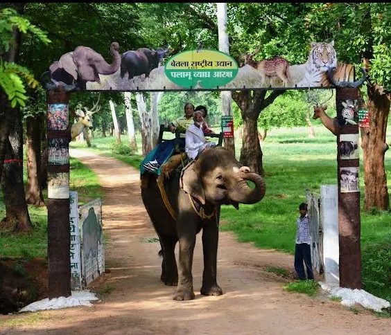 Betla National Park Tour Packages