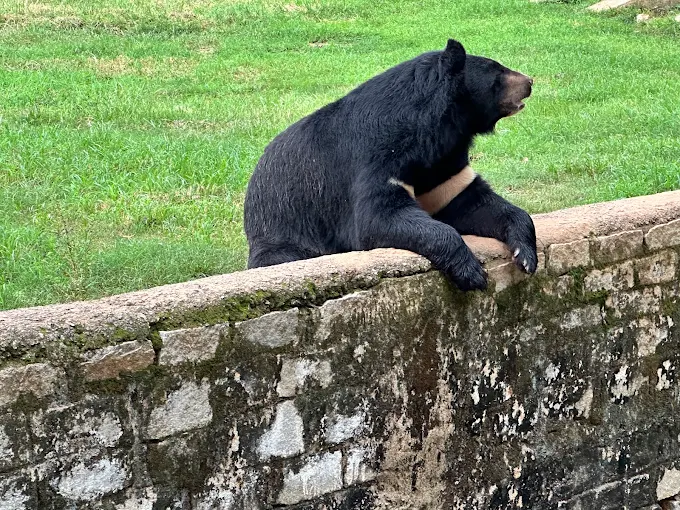 Birsa Zoological Park, Jharkhand